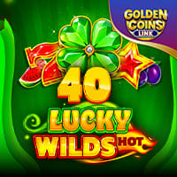 40 Lucky Wilds Hot Golden Coins Link in Sub_MoreNewGames
