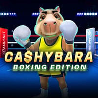 Cashybara Boxing Edition