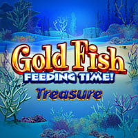 Gold Fish Feeding Time - Treasure in fish