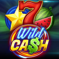 Wild Cash in Sub_MoreNewGames