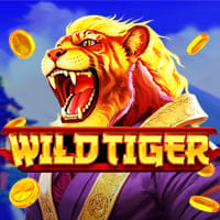 Wild Tiger in bgaming
