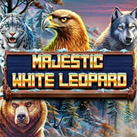 Majestic White Leopard in Spinomenal