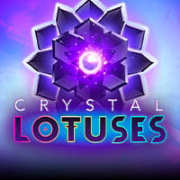 Crystal Lotuses in Sub_RecentSuccess