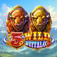 5 Wild Buffalo 3 in Recomended