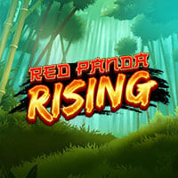 Red Panda Rising in Armadillo