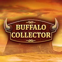 Buffalo Collector in redtiger