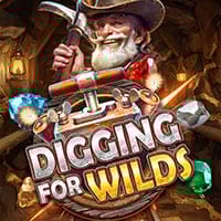 Digging for Wilds in redtiger