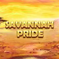 Savannah Pride in redtiger