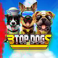 3 Top Dogs in irondog