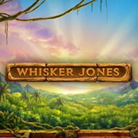 Whisker Jones in 1x2-gaming