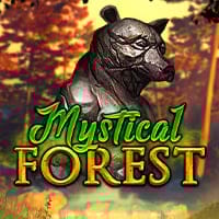 Mystical Forest in bragg