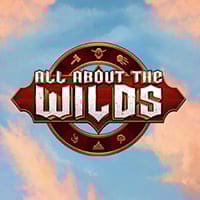 All About the Wilds in spinberry