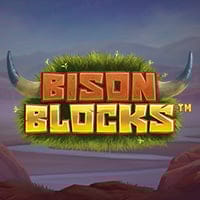 Bison Blocks in Stakelogic