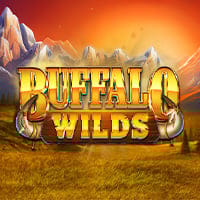 Buffalo Wilds in spinberry