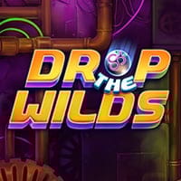 Drop the Wilds in spinberry