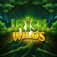 Irish Wilds in spinberry