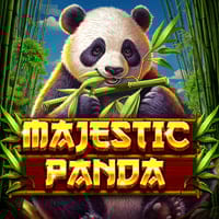 Majestic Panda in Spinomenal