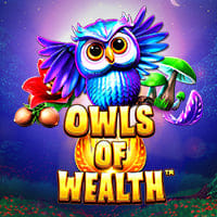 Owls Of Wealth in Synot