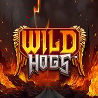 Wild Hogs in Stakelogic