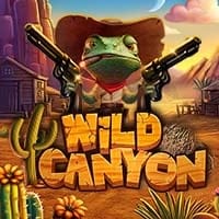 Wild Canyon in Stakelogic