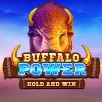 Buffalo Power: Hold and Win in playson