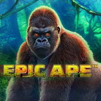 Epic Ape in Slots_OtherGames