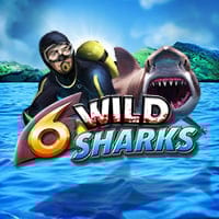 6 Wild Sharks in 4theplayer
