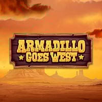 Armadillo Goes West in Armadillo
